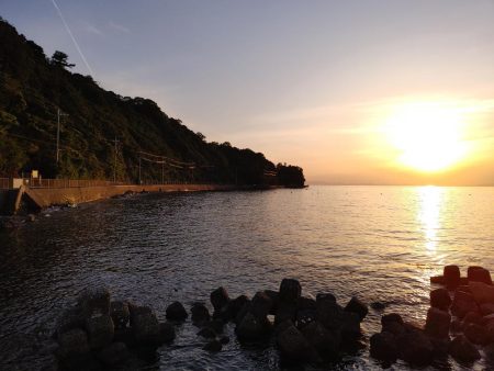 メバル自己最多！