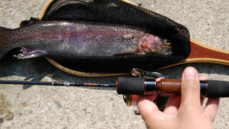 千早川マス釣り場でエリアフィッシング