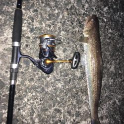 ナブラ撃ちで！