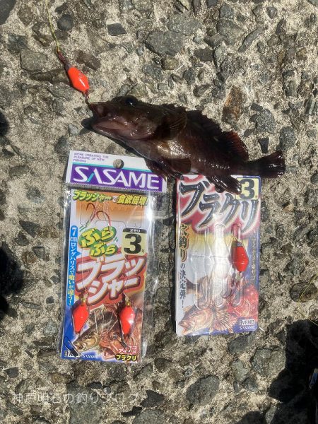 当たったブラクリでカンダイゲット！