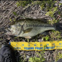 オカッパリで40UP! 1get 1barashi 1line break !