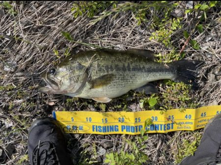 オカッパリで40UP! 1get 1barashi 1line break !