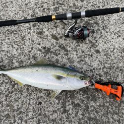 念願の初ハマチ！！！