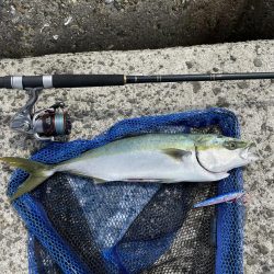 ハマチ　57cm !!　青物シーズンイン！…