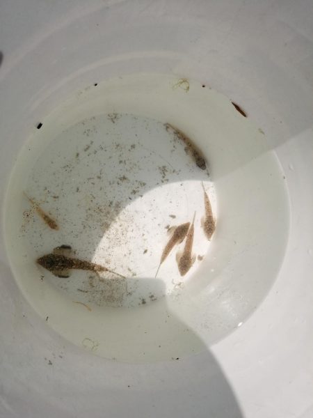 ファミリーフィッシング