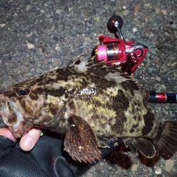 2022/05/10 南港 早朝ライトゲーム釣行