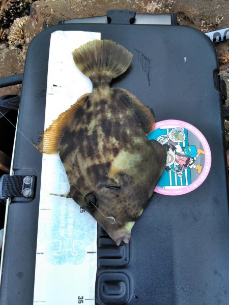 フカセ‥最高ですネ・・