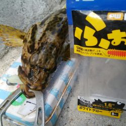 色々釣れて楽しかったデス(^^)