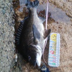 ライトゲーム(^^)楽しいデス♡♬♬♬