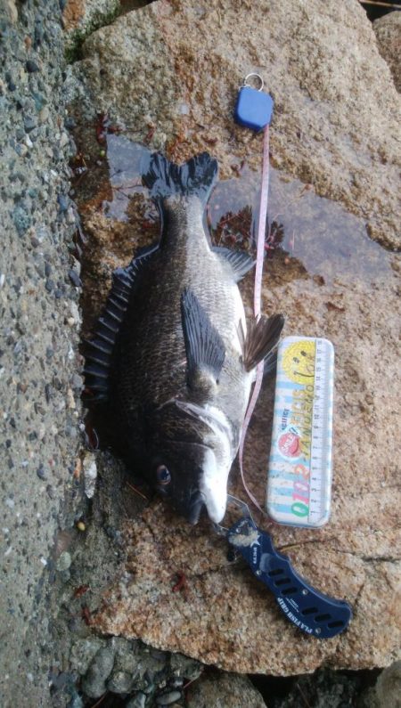 ライトゲーム(^^)楽しいデス♡♬♬♬