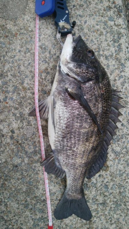 キャスティングキビレゲーム(^^)