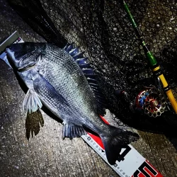 大阪湾奥最前戦