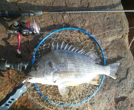 ライトゲーム(^^)楽しいデス♡♬♬♬