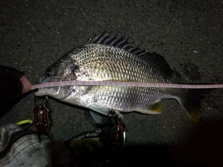 2022/05/18 南港ライトゲーム釣行…