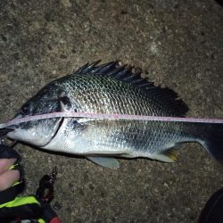 2022/05/21 南港ヘチ釣り釣行