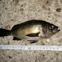 厳しい中でもなんとか