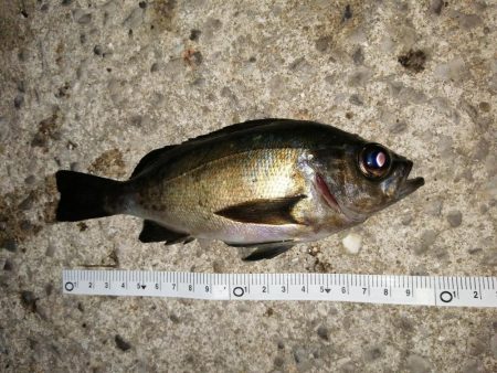 厳しい中でもなんとか