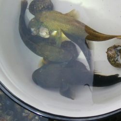 (^^)過ごしやすい釣り日和