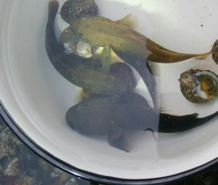 (^^)過ごしやすい釣り日和