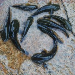 今日も釣り日和(^^)