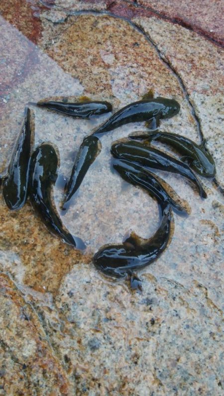 今日も釣り日和(^^)