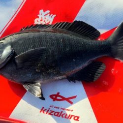 和歌山市江(吉丸渡船)で磯フカセ