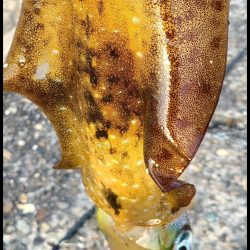 釣れない雰囲気の中