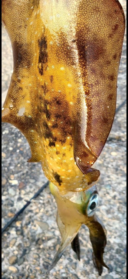 釣れない雰囲気の中