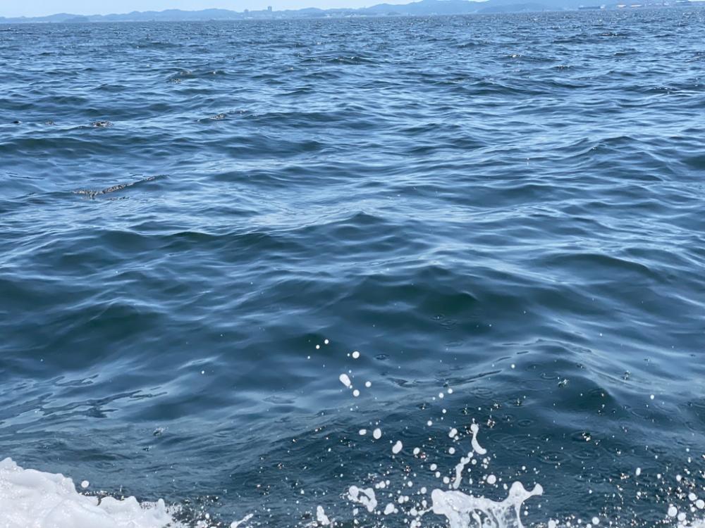 おニューロッドの鱗付け完了w