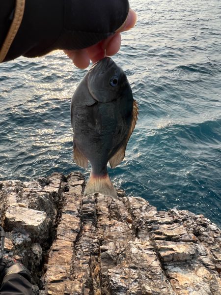 フカセ釣り釣行