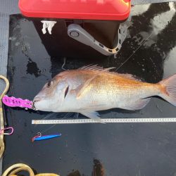 シマアジはいなかったが、デカいの来た!