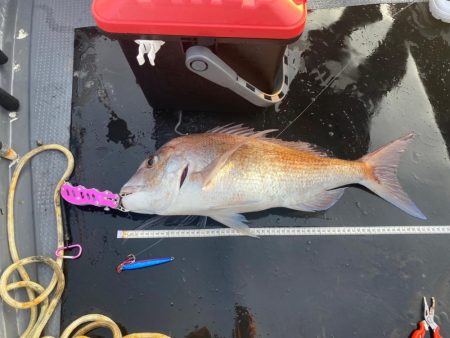 シマアジはいなかったが、デカいの来た！