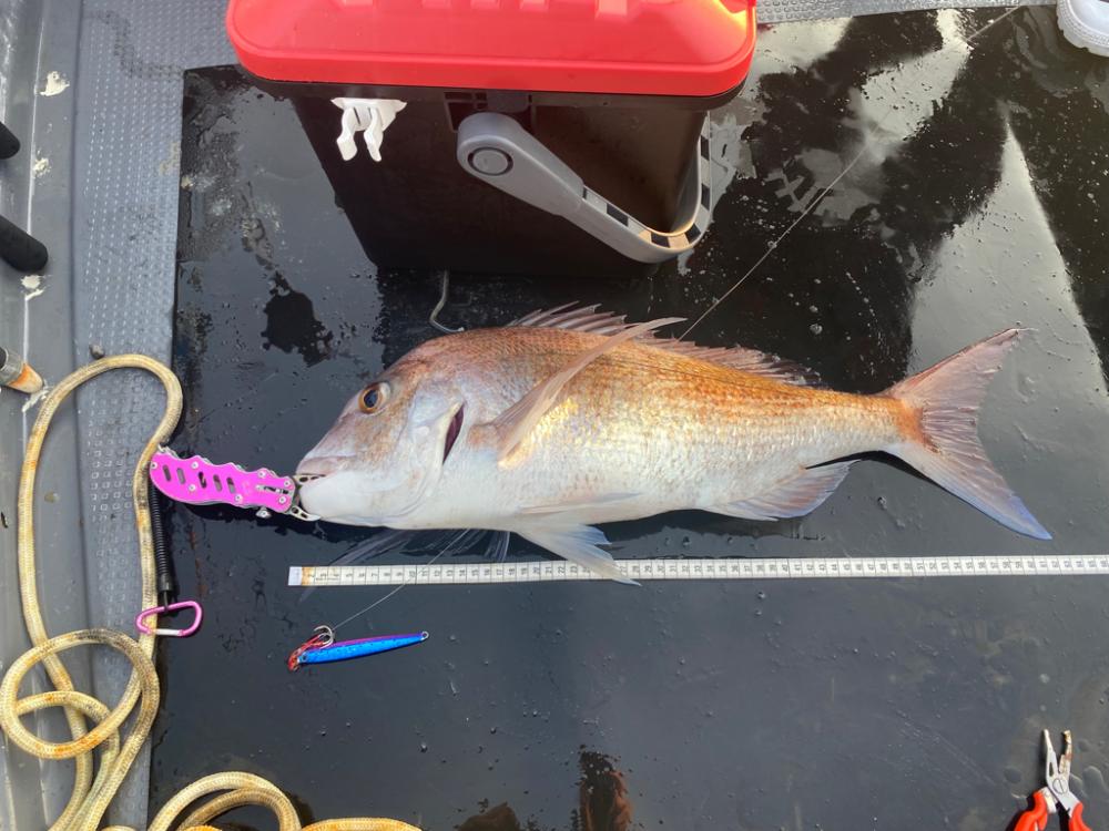 シマアジはいなかったが、デカいの来た！