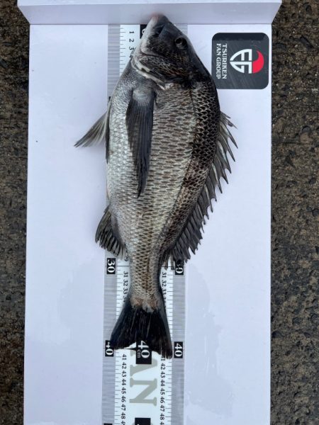 男鹿市戸賀寄島