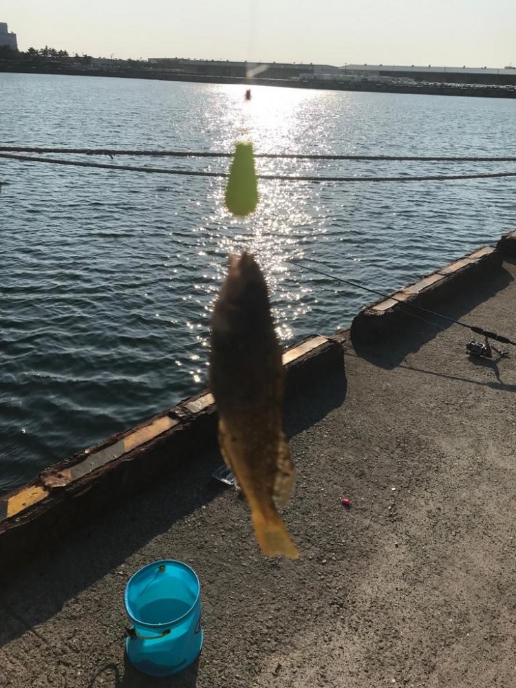 行き着いた先でアブシン