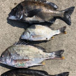 アタリが多く楽しめました