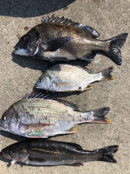 アタリが多く楽しめました