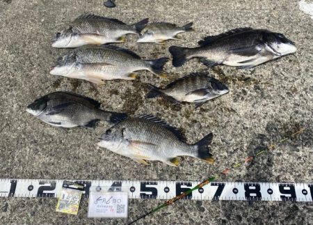 微妙なアタリ　DAY1