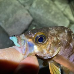 フロート難しい