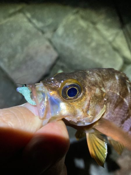 フロート難しい