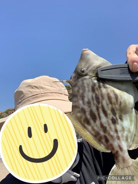 キスおるかなー