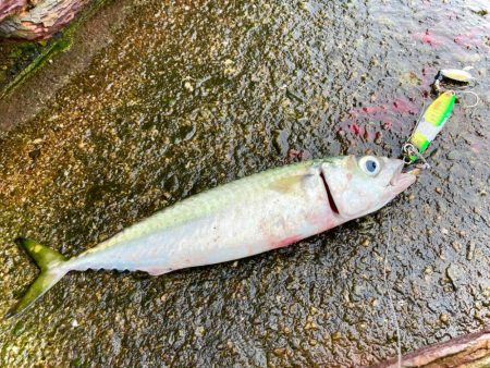 サバゲーが熱い季節はそこまで来てる！？