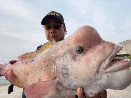 笠岡での大物狙い
