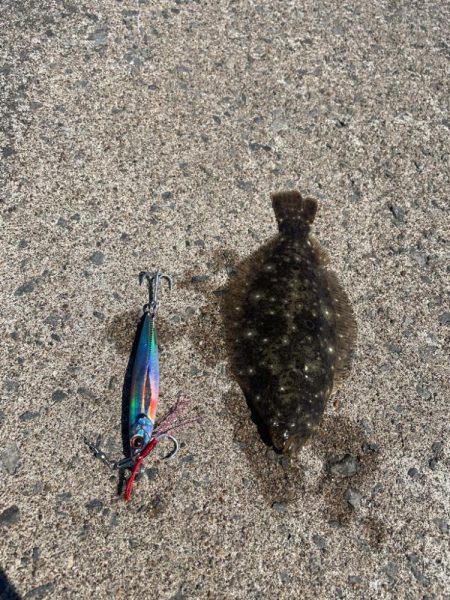 ホッケ狙いのはずが…外道でまさかの！？