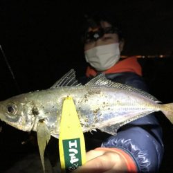 大阪北港奥でアジング