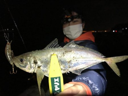 大阪北港奥でアジング