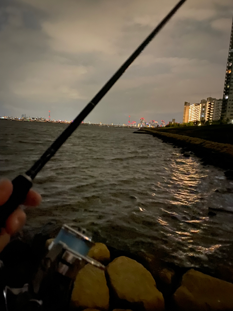 淀川ブリームゲーム