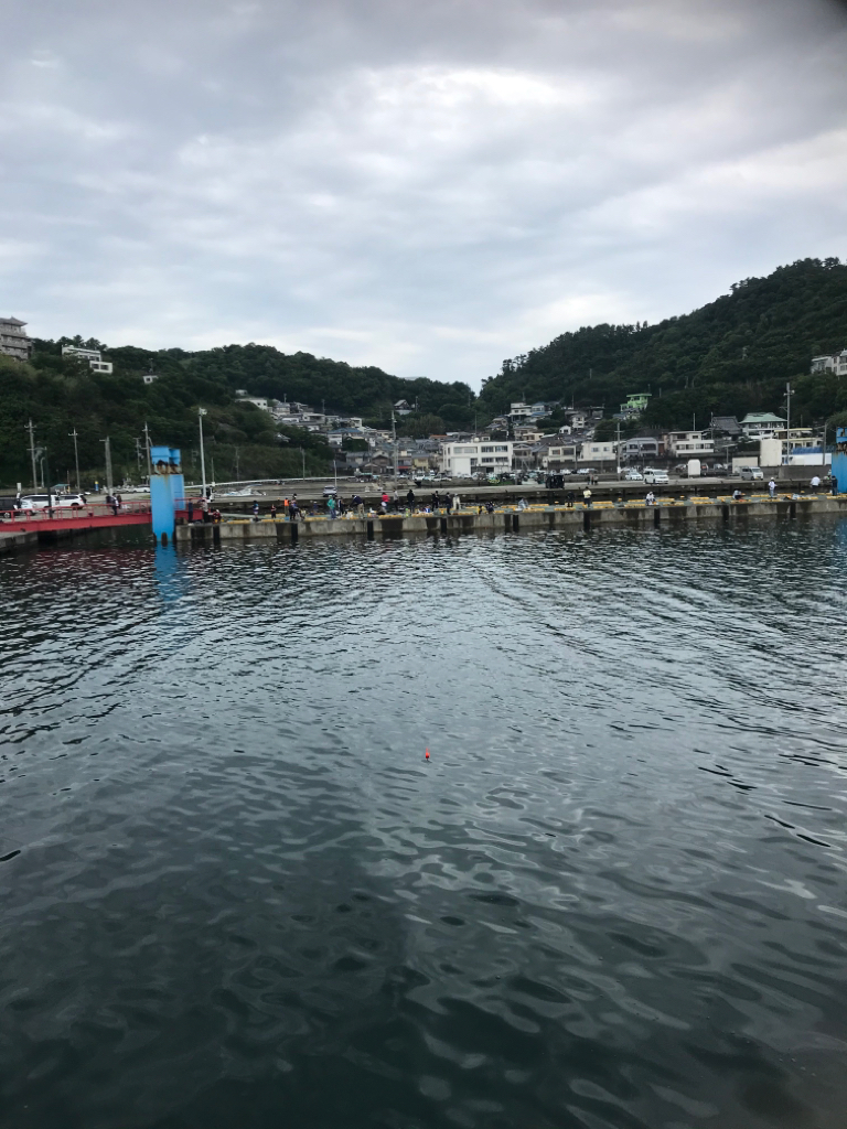 サビキ四目達成