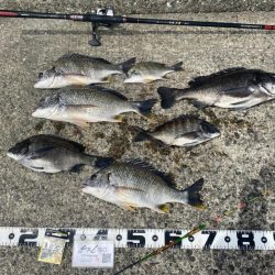 ウェアをどれにするか?迷うシーズン