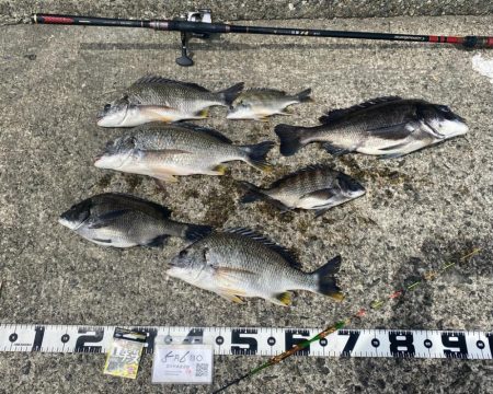 ウェアをどれにするか？迷うシーズン